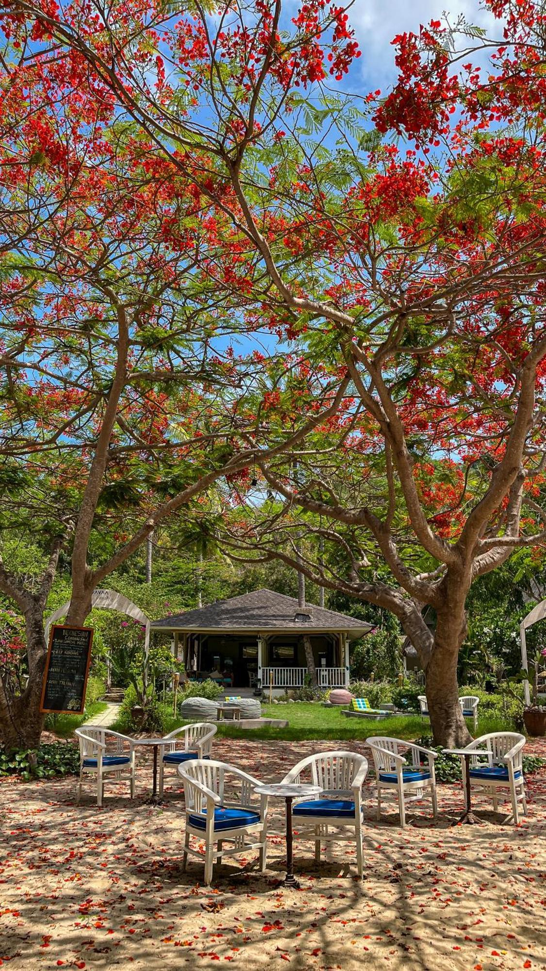 Vayam Boutique Resort Гили-Асахан Экстерьер фото